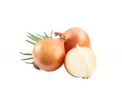Brown Onion